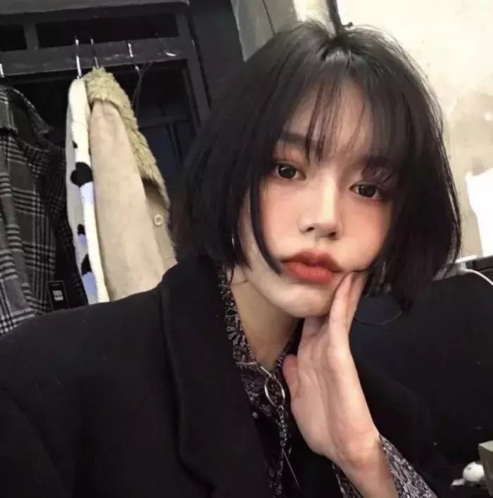 我的会长大人